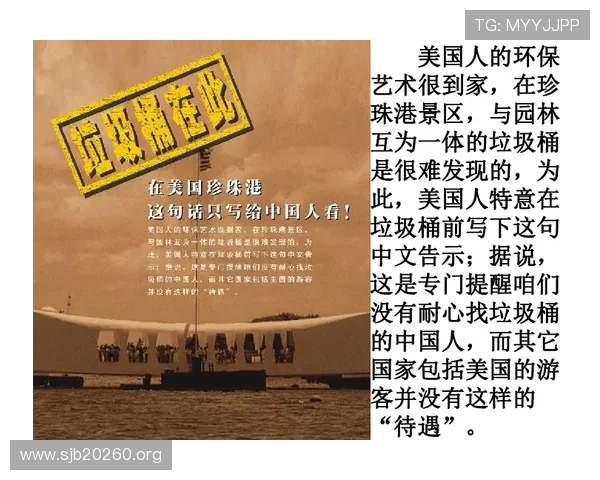 探索金赞芳的精彩人生与成就之路